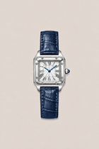 Navy/Silver